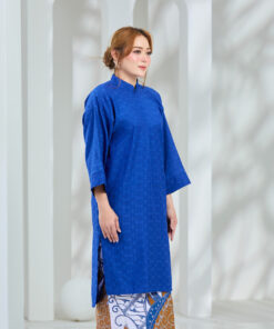 Alternative view of RAESA 2025 BLUE